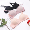 Daily Wear Non Wire Soft Pad Bra