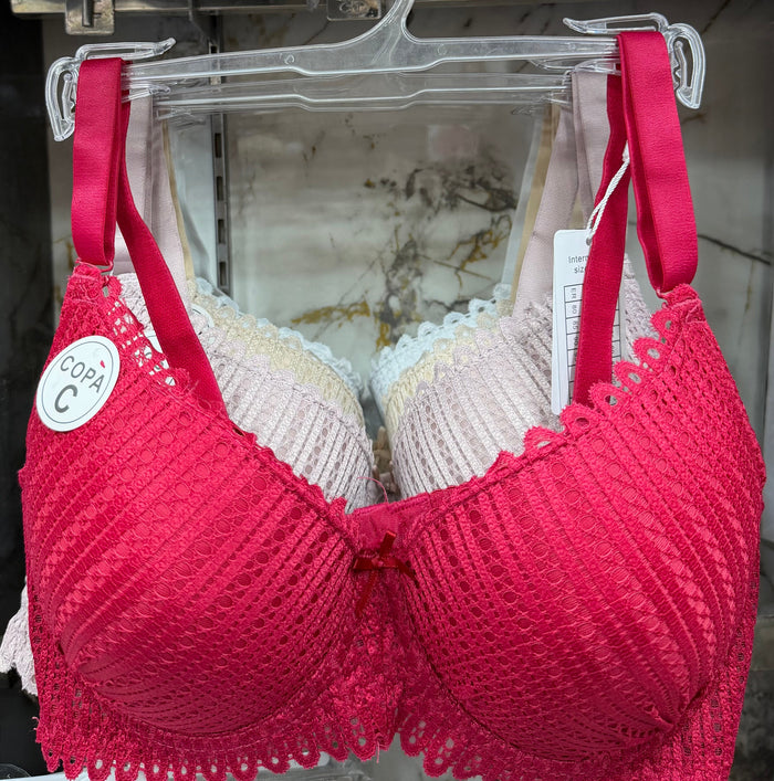 Premium lacy light paded bra with wired