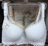 Premium lacy light paded bra with wired