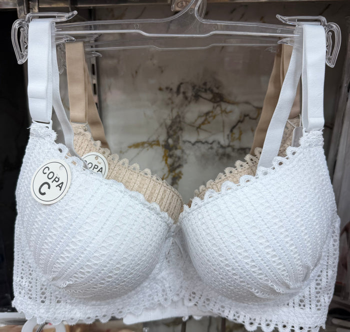 Premium lacy light paded bra with wired