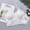 Women Soft Biddies With Removable Pad And Net style